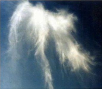 This picture shows the shape of a traditional view of an Angel in the clouds. Although it may only be natural phenomenon, many images have been captured in the heavens that resemble angels.