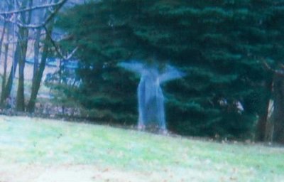 This image was captured by a hunter's motion sensor and so far has remained unexplained. Could it be a Real Angel?