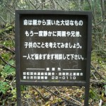 Japan’s Suicide Woods | Aokigahara